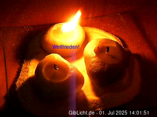 webcam
