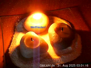 webcam