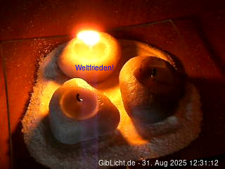webcam